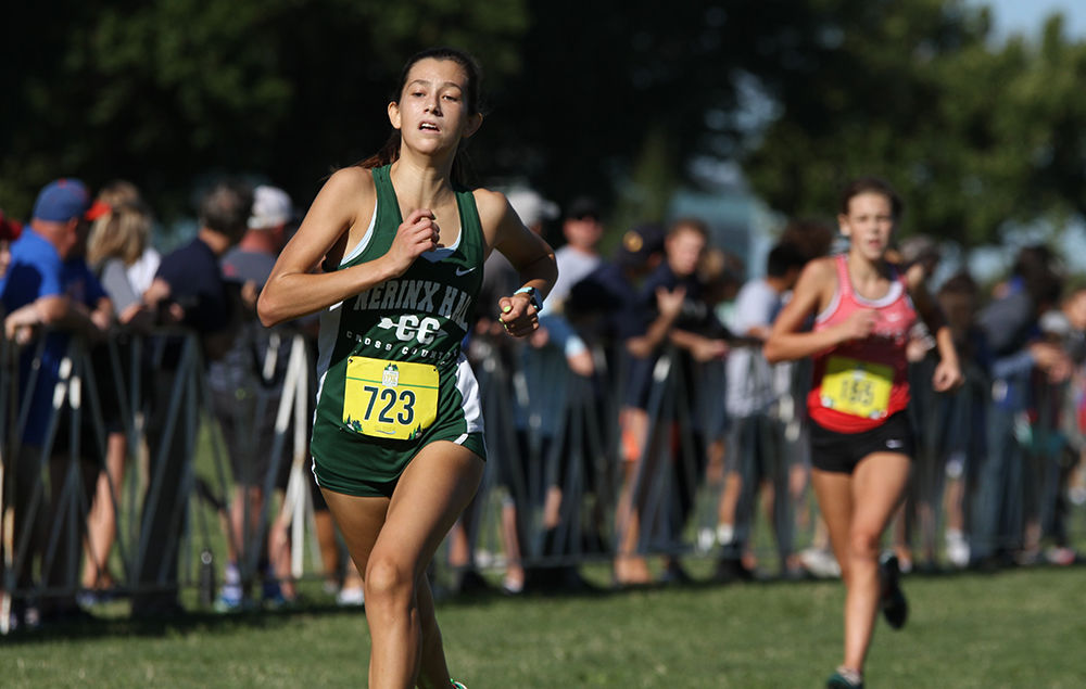 Forest Park Cross Country Festival